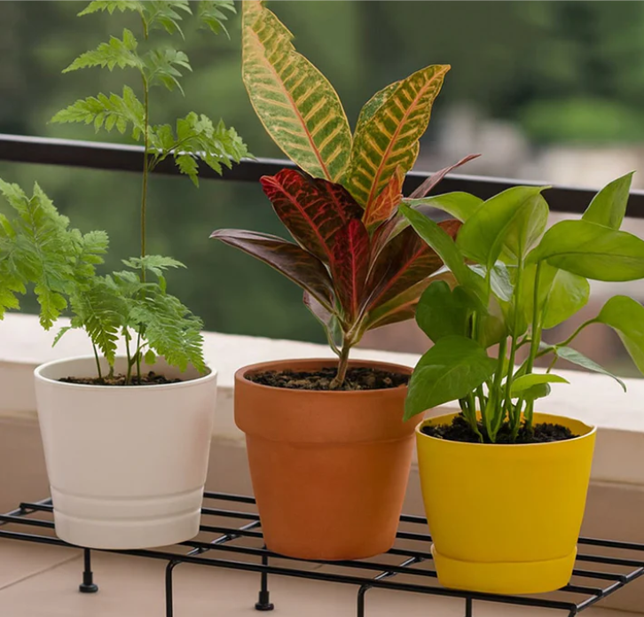 Plant Pots & Gardening By Artificialitem: Rooted in Style, Crafted with Purpose